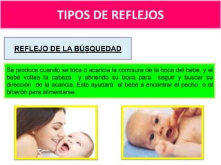 TIPOS DE REFLEJOS
REFLEJO DE LA BÚSQUEDAD
Se produce cuando se toca o acaricia la comisura de la boca del bebé, y el
bebé voltea la cabeza y abriendo su boca para seguir y buscar su
dirección de la acaricia. Esto ayudará al bebé a encontrar el pecho o el
biberón para alimentarse.

 