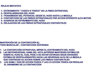 RELEJO MIOTATICO

1.- ESTIRAMIENTO “ FASICO O TONICO” DE LA FIBRA EXTRAFUSAL
2.- DESPOLARIZACION DEL HUSO
3.- TRANSMISION DEL POTENCIAL DESDE EL HUSO HASTA LA MEDULA
4.- CONTARCCION DE LAS FIBRAS EXTRAFUSALES POR ACCION EFERENTE ALFA MOTOR
5.- AUSENCIA DE ESTIRAMIENTO DEL HUSO
6.- RELAJACION DE LAS FIBRAS EXTRAFUSALES CONTARCTILES




MANTENCIÓN DE LA CONTARCCIÓN Ej.:
TONO MUISCULAR – CONTARCCION SOSTENIDA

1. LA CONTARCCIÓN EXTRAFUSAL IMPIDE EL EXSTIRAMENTO DEL HUSO
2. LAS MOTONEURONAL GAMA DEL ASTA ANTERIOR MANTIENEN ESTIMULOS
   SOBRE EL HUSO EL CUAL PESE A NO ESTAR ESTIRADO SIGUE ENVIANDO
   ESTIMULOS DESPOLARIZANTES HACIA LAS NEURONAS ALFA DE LA MEDULA
   QUE CONTINUAN SU ACCION SOBRE LAS FIBRAS CONTARCTILES
3. LAS GAMA 1 SON DE ACCION FASICA Y LAS 2 D ACCION TONICA ASI REGULAN
   EL DINAMISMO DE LA CONTARCCION
 