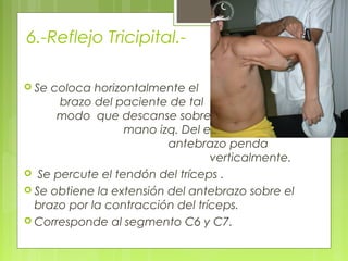6.-Reflejo Tricipital.-
 Se coloca horizontalmente el
brazo del paciente de tal
modo que descanse sobre la
mano izq. Del explorador y el
antebrazo penda
verticalmente.
 Se percute el tendón del tríceps .
 Se obtiene la extensión del antebrazo sobre el
brazo por la contracción del tríceps.
 Corresponde al segmento C6 y C7.
 