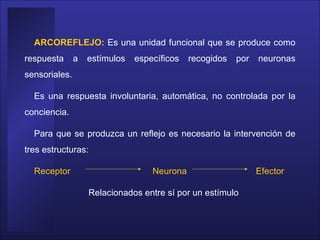 ARCOREFLEJO:  Es una unidad funcional que se produce como respuesta a estímulos específicos recogidos por neuronas sensoriales.  Es una respuesta involuntaria, automática, no controlada por la conciencia.  Para que se produzca un reflejo es necesario la intervención de tres estructuras:  Receptor  Neurona    Efector  Relacionados entre sí por un estímulo  