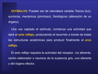 ESTÍMULOS:  Pueden ser de naturaleza variada: físicos (luz), químicos, mecánicos (pinchazo), fisiológicos (alteración de un órgano).  Una vez captado el estímulo, comienza una actividad que dará el  acto reflejo,  produciendo el recorrido a través de todas las estructuras anatómicas para producir finalmente el  arco reflejo .  El acto reflejo requiere la actividad del receptor, vía aferente, centro elaborador o neurona de la sustancia gris, una eferente y del órgano efector.  