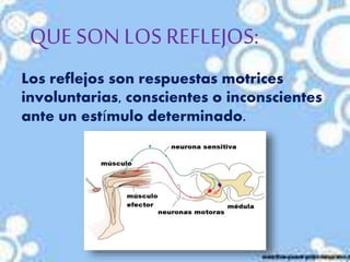 QUE SON LOS REFLEJOS:
Los reflejos son respuestas motrices
involuntarias, conscientes o inconscientes
ante un estímulo determinado.
 