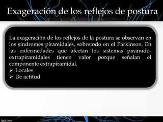 Exageración de los reflejos de postura
La exageración de los reflejos de la postura se observan en
los síndromes piramidales, sobretodo en el Parkinson. En
las enfermedades que afectan los sistemas piramido-
extrapiramidales tienen valor porque señalan el
componente extrapiramidal.
 Locales
 De actitud
 