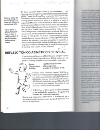 Reflejos , aprendizaje y comportamiento 1