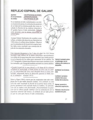 Reflejos , aprendizaje y comportamiento 1