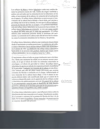 Reflejos , aprendizaje y comportamiento 1