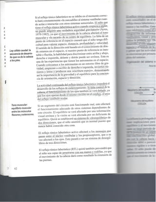 Reflejos , aprendizaje y comportamiento 1