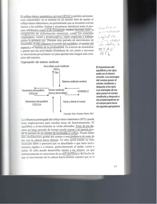 Reflejos , aprendizaje y comportamiento 1