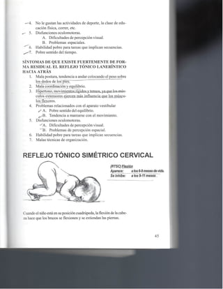 Reflejos , aprendizaje y comportamiento 1