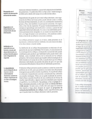 Reflejos , aprendizaje y comportamiento 1