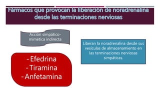 Acción simpático-
mimética indirecta
-Efedrina
-Tiramina
-Anfetamina
Liberan la noradrenalina desde sus
vesículas de almacenamiento en
las terminaciones nerviosas
simpáticas.
 