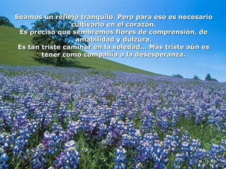 Seamos un reflejo tranquilo. Pero para eso es necesario cultivarlo en el corazón. Es preciso que sembremos flores de comprensión, de amabilidad y dulzura. Es tan triste caminar en la soledad... Más triste aún es tener como compañía a la desesperanza. 