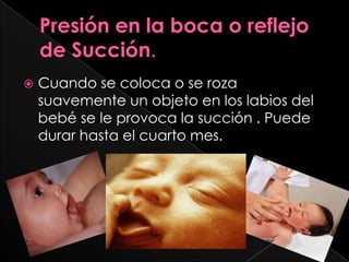   Cuando se coloca o se roza
    suavemente un objeto en los labios del
    bebé se le provoca la succión . Puede
    durar hasta el cuarto mes.
 