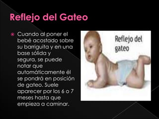    Cuando al poner el
    bebé acostado sobre
    su barriguita y en una
    base sólida y
    segura, se puede
    notar que
    automáticamente él
    se pondrá en posición
    de gateo. Suele
    aparecer por los 6 o 7
    meses hasta que
    empieza a caminar.
 