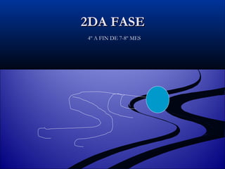 2DA FASE 4º A FIN DE 7-8º MES 