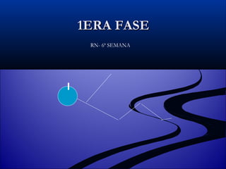 1ERA FASE RN- 6ª SEMANA 