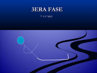 3ERA FASE 7º A 9º MES 