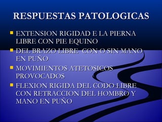 RESPUESTAS PATOLOGICAS EXTENSION RIGIDAD E LA PIERNA LIBRE CON PIE EQUINO DEL BRAZO LIBRE  CON O SIN MANO EN PUÑO MOVIMIENTOS ATETOSICOS PROVOCADOS FLEXION RIGIDA DEL CODO LIBRE CON RETRACCION DEL HOMBRO Y MANO EN PUÑO 