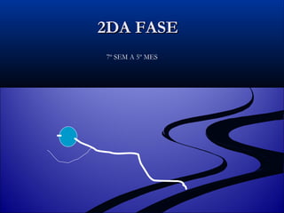 2DA FASE 7º SEM A 5º MES 