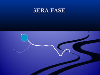 3ERA FASE 