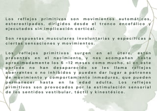L o s r e f l e j o s p r i m i t i v o s s o n m o v i m i e n t o s a u t o m á t i c o s ,
e s t e r e o t i p a d o s , d i r i g i d o s d e s d e e l t r o n c o e n c e f á l i c o y
e j e c u t a d o s s i n i m p l i c a c i ó n c o r t i c a l .
S o n r e s p u e s t a s m u s c u l a r e s i n v o l u n t a r i a s y e s p e c í f i c a s a
c i e r t a s s e n s a c i o n e s y m o v i m i e n t o s .
L o s r e f l e j o s p r i m i t i v o s s u r g e n e n e l ú t e r o , e s t á n
p r e s e n t e s e n e l n a c i m i e n t o y n o s a c o m p a ñ a n h a s t a
a p r o x i m a d a m e n t e l o s 6 - 1 2 m e s e s c o m o m u c h o , s i e n e s t e
p e r í o d o n o h a n d e s a p a r e c i d o s e l e s l l a m a r e f l e j o s
a b e r r a n t e s o n o i n h i b i d o s y p u e d e n d a r l u g a r a p a t r o n e s
d e m o v i m i e n t o y c o m p o r t a m i e n t o i n m a d u r o s , q u e p u e d e n
p e r m a n e c e r h a s t a e n l a e d a d a d u l t a . L o s r e f l e j o s
p r i m i t i v o s s o n p r o v o c a d o s p o r l a e s t i m u l a c i ó n s e n s o r i a l
d e l o s s e n t i d o s v e s t i b u l a r , t á c t i l y k i n e s t é s i c o .
 