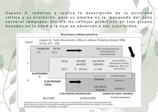 C a p u t e A . r e d e f i n e y r e a l i z a l a d e s c r i p c i ó n d e l a a c t i v i d a d
r e f l e j a y s u e v o l u c i ó n , p a r a s u e m p l e o e n l a b ú s q u e d a d e l d a ñ o
c e r e b r a l t e m p r a n o . D i v i d i ó l o s r e f l e j o s p r i m i t i v o s e n t r e s g r u p o s
b a s a d o s e n l a e d a d a l a c u a l s e o b s e r v a n o s o n s u p r i m i d o s :
 