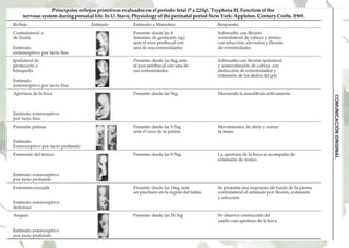 Reflejos_primitivos.pdf