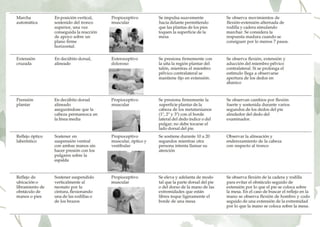 Reflejos_primitivos.pdf