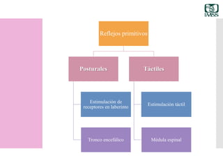 Reflejos primitivos
Posturales
Estimulación de
receptores en laberinto
Tronco encefálico
Táctiles
Estimulación táctil
Médula espinal
 