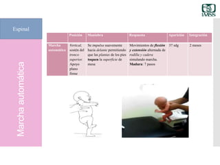 Marchaautomática
Espinal
Posición Maniobra Respuesta Aparición Integración
Marcha
automática
Vertical,
sostén del
tronco
superior.
Apoyo
plano
firme
Se impulsa suavemente
hacia delante permitiendo
que las plantas de los pies
toquen la superficie de
mesa
Movimientos de flexión
y extensión alternada de
rodilla y cadera
simulando marcha.
Madura: 7 pasos
37 sdg 2 meses
 