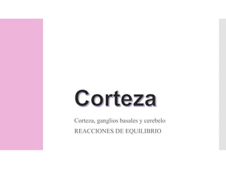 Corteza, ganglios basales y cerebelo
REACCIONES DE EQUILIBRIO
 