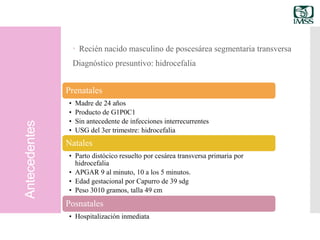Antecedentes
 Recién nacido masculino de poscesárea segmentaria transversa
Diagnóstico presuntivo: hidrocefalia
Prenatales
• Madre de 24 años
• Producto de G1P0C1
• Sin antecedente de infecciones interrecurrentes
• USG del 3er trimestre: hidrocefalia
Natales
• Parto distócico resuelto por cesárea transversa primaria por
hidrocefalia
• APGAR 9 al minuto, 10 a los 5 minutos.
• Edad gestacional por Capurro de 39 sdg
• Peso 3010 gramos, talla 49 cm
Posnatales
• Hospitalización inmediata
 