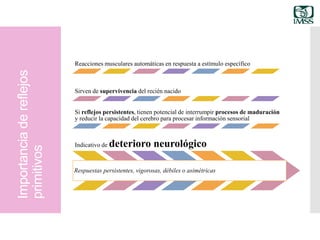 Importanciadereflejos
primitivos
Reacciones musculares automáticas en respuesta a estímulo específico
Sirven de supervivencia del recién nacido
Si reflejos persistentes, tienen potencial de interrumpir procesos de maduración
y reducir la capacidad del cerebro para procesar información sensorial
Indicativo de deterioro neurológico
Respuestas persistentes, vigorosas, débiles o asimétricas
 