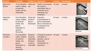 REFLEJO POSICIÓN ESTÍMULO RESPUESTA APARECE DESAPARECE
Retracción
flexora
Px en decúbito
supino. Cabeza
en posición
media. Piernas
extendidas.
Planta del
pie.
Flexión incontrolada
de la pierna
estimulada. (No se
confunda con la
respuesta a las
cosquillas.)
Al nacer 2 meses
Extensión
refleja
Px en decúbito
supino. Cabeza
en posición
media. Una
pierna
extendida, la
opuesta
flexionada.
Planta del
pie de la
pierna
flexionada
.
Extensión
incontrolada de la
pierna estimulada.
(No se confunda con
la respuesta a las
cosquillas).
Al nacer 2 meses
Extensión
cruzada 1
Px en decúbito
supino. Cabeza
en posición
media. Una
pierna
flexionada, la
opuesta
extendida.
Flexionar
la pierna
extendida.
Flexionar
la pierna
extendida
AI flexionar la pierna
extendida, la
opuesta, o sea la
flexionada
inicialmente, se
extenderá.
Al nacer 2 meses
 
