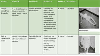 REFLEJO POSICIÓN ESTÍMULO RESPUESTA APARECE DESAPARECE
Tónico
asimétrico
de cuello
Px en decúbito supino.
Cabeza en posición
media. Brazos y pierna
extendido
Voltear la cabeza
hacia un lado
Extensión del
brazo y de la
pierna del lado
hacia donde está
la cara, o un
aumento en el
tono extensor;
flexión del brazo y
de la pierna de el
lado del cráneo o
aumento del tono
flexor.
Al nacer 4-6 meses
Tónico
simétrico de
cuello
Posición cuadrúpeda o
sobre las rodillas del
examinar.
Vetroflexión de
la cabeza.
Flexión de los
brazos o el tono
flexor domina;
piernas
extendidas o el
tono extensor
domina.
Al nacer 6 meses
 