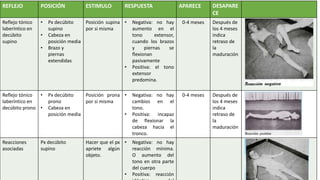REFLEJO POSICIÓN ESTIMULO RESPUESTA APARECE DESAPARE
CE
Reflejo tónico
laberíntico en
decúbito
supino
• Px decúbito
supino
• Cabeza en
posición media
• Brazo y
piernas
extendidas
Posición supina
por si misma
• Negativa: no hay
aumento en el
tono extensor,
cuando los brazos
y piernas se
flexionan
pasivamente
• Positiva: el tono
extensor
predomina.
0-4 meses Después de
los 4 meses
indica
retraso de
la
maduración
Reflejo tónico
laberíntico en
decúbito prono
• Px decúbito
prono
• Cabeza en
posición media
Posición prona
por si misma
• Negativa: no hay
cambios en el
tono.
• Positiva: incapaz
de flexionar la
cabeza hacia el
tronco.
0-4 meses Después de
los 4 meses
indica
retraso de
la
maduración
Reacciones
asociadas
Px decúbito
supino
Hacer que el px
apriete algún
objeto.
• Negativa: no hay
reacción mínima.
O aumento del
tono en otra parte
del cuerpo
• Positiva: reacción
 