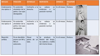 REFLEJO POSICIÓN ESTIMULO RESPUESTA APARECE DESAPARE
CE
Enderezamie
nto óptico 3
Px sostenido
alrededor de la
pelvis. Con ojos
destapados
Inclinarlo a la
derecha.
La cabeza se
endereza a la
posición normal.
6 a 8 meses Perdura
Enderezamie
nto óptico 4
Px sostenido
alrededor de la
pelvis. Con ojos
destapados
Inclinarlo a la
izquierda
La cabeza se
endereza a la
posición normal.
6 a 8 meses Perdura
Reacción
anfibia
Px en decúbito
prono con MI y
MS en
extensión.
Elevar la
pelvis de un
lado.
Se produce la
flexión del brazo,
las caderas y rodilla
del mismo brazo.
4 a 6 meses Perdura
 