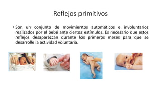 Reflejos primitivos
• Son un conjunto de movimientos automáticos e involuntarios
realizados por el bebé ante ciertos estím...