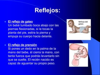Reflejos:
   El reflejo de gateo
    Un bebé tumbado boca abajo con las
    piernas flexionadas, si le tocas la
    planta del pie, estira la pierna y
    empuja su cuerpo hacia delante.

   El reflejo de prensión
    Si pones un dedo en la palma de la
    mano del bebe, él cierra la mano, con
    tanta fuerza que podrás levantarlo sin
    que se suelte. El recién nacido es
    capaz de aguantar su propio peso.
 