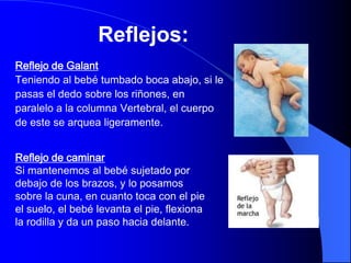 Reflejos:
Reflejo de Galant
Teniendo al bebé tumbado boca abajo, si le
pasas el dedo sobre los riñones, en
paralelo a la columna Vertebral, el cuerpo
de este se arquea ligeramente.


Reflejo de caminar
Si mantenemos al bebé sujetado por
debajo de los brazos, y lo posamos
sobre la cuna, en cuanto toca con el pie
el suelo, el bebé levanta el pie, flexiona
la rodilla y da un paso hacia delante.
 
