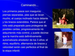Caminando...

Los primeros pasos son inseguros:
piernas separadas, pies que se levan
mucho, el cuerpo inclinado hacia delante
y los brazos extendidos. Parece que el
niño está preparado para protegerse de
posibles caídas, progresivamente irá
adquiriendo más control, y puede decirse
que la marcha está definitivamente
automatizada alrededor de los 3 años; el
ritmo, equilibrio, alternancia de brazos y
velocidad serán casi perfectos al final de
la etapa infantil.
 
