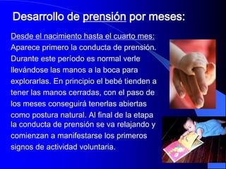 Desarrollo de prensión por meses:
Desde el nacimiento hasta el cuarto mes:
Aparece primero la conducta de prensión.
Durante este período es normal verle
llevándose las manos a la boca para
explorarlas. En principio el bebé tienden a
tener las manos cerradas, con el paso de
los meses conseguirá tenerlas abiertas
como postura natural. Al final de la etapa
la conducta de prensión se va relajando y
comienzan a manifestarse los primeros
signos de actividad voluntaria.
 