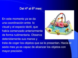 Del 4º al 6º mes:


En este momento ya se da
una coordinación entre lo
visual y el espacio táctil, que
había comenzado anteriormente
de forma rudimentaria. Observa
detenidamente sus manos y
trata de coger los objetos que se le presentan. Hacía el
sexto mes ya es capaz de alcanzar los objetos con
mayor precisión.
 