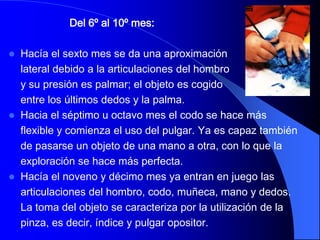 Del 6º al 10º mes:

   Hacía el sexto mes se da una aproximación
    lateral debido a la articulaciones del hombro
    y su presión es palmar; el objeto es cogido
    entre los últimos dedos y la palma.
   Hacia el séptimo u octavo mes el codo se hace más
    flexible y comienza el uso del pulgar. Ya es capaz también
    de pasarse un objeto de una mano a otra, con lo que la
    exploración se hace más perfecta.
   Hacía el noveno y décimo mes ya entran en juego las
    articulaciones del hombro, codo, muñeca, mano y dedos.
    La toma del objeto se caracteriza por la utilización de la
    pinza, es decir, índice y pulgar opositor.
 