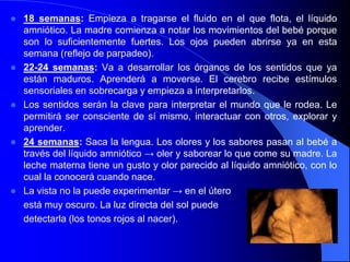    18 semanas: Empieza a tragarse el fluido en el que flota, el líquido
    amniótico. La madre comienza a notar los movimientos del bebé porque
    son lo suficientemente fuertes. Los ojos pueden abrirse ya en esta
    semana (reflejo de parpadeo).
   22-24 semanas: Va a desarrollar los órganos de los sentidos que ya
    están maduros. Aprenderá a moverse. El cerebro recibe estímulos
    sensoriales en sobrecarga y empieza a interpretarlos.
   Los sentidos serán la clave para interpretar el mundo que le rodea. Le
    permitirá ser consciente de sí mismo, interactuar con otros, explorar y
    aprender.
   24 semanas: Saca la lengua. Los olores y los sabores pasan al bebé a
    través del líquido amniótico → oler y saborear lo que come su madre. La
    leche materna tiene un gusto y olor parecido al líquido amniótico, con lo
    cual la conocerá cuando nace.
   La vista no la puede experimentar → en el útero
    está muy oscuro. La luz directa del sol puede
    detectarla (los tonos rojos al nacer).
 