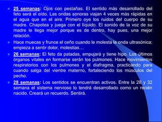    25 semanas: Ojos con pestañas. El sentido más desarrollado del
    feto será el oído. Las ondas sonoras viajan 4 veces más rápidas en
    el agua que en el aire. Primero oye los ruidos del cuerpo de su
    madre. Chapotea y juega con el líquido. El sonido de la voz de su
    madre le llega mejor porque es de dentro, hay pues, una mejor
    relación.
   Hace muecas y frunce el ceño cuando le molesta la onda ultrasónica;
    empieza a sentir dolor, molestias…
   26 semanas: El feto da patadas, empujará y tiene hipo. Los últimos
    órganos vitales en formarse serán los pulmones. Hace movimientos
    respiratorios con los pulmones y el diafragma, practicando para
    cuando salga del vientre materno, fortaleciendo los músculos del
    pecho.
   28 semanas: Los sentidos se encuentran activos. Entre la 28 y 32
    semana el sistema nervioso lo tendrá desarrollado como un recién
    nacido. Creará un recuerdo. Sentirá.
 