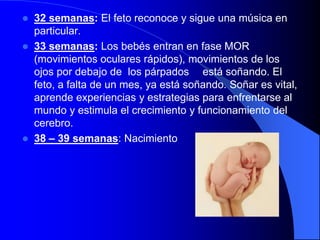    32 semanas: El feto reconoce y sigue una música en
    particular.
   33 semanas: Los bebés entran en fase MOR
    (movimientos oculares rápidos), movimientos de los
    ojos por debajo de los párpados está soñando. El
    feto, a falta de un mes, ya está soñando. Soñar es vital,
    aprende experiencias y estrategias para enfrentarse al
    mundo y estimula el crecimiento y funcionamiento del
    cerebro.
   38 – 39 semanas: Nacimiento
 