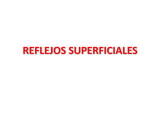 REFLEJOS SUPERFICIALES  
