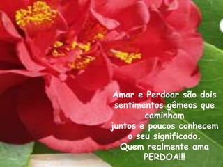 Amar e Perdoar são dois
 sentimentos gêmeos que
        caminham
juntos e poucos conhecem
    o seu significado.
  Quem realmente ama
        PERDOA!!!
 