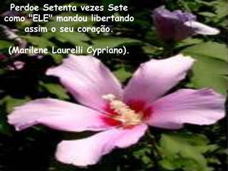 Perdoe Setenta vezes Sete
como "ELE" mandou libertando
    assim o seu coração.

(Marilene Laurelli Cypriano).
 